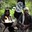 Group Avatar