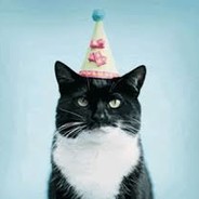 PartyCat
