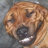 Dogzilla