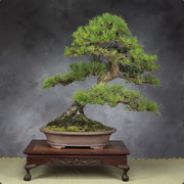 ed - steam id 76561197960873881
