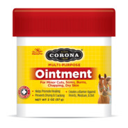 ointment's Avatar