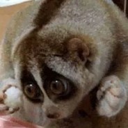 ♥♥♥