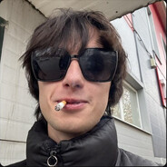 данек moggdonalds