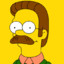 Ned-_-Flanders