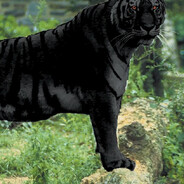 tigga