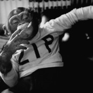 Garzor_C137's Avatar