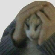 cykacat