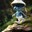 Group Avatar