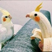 BananaBird