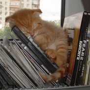 Steam Community Avatar