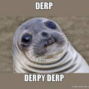 Derpified175