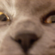 WiLSONNeK.