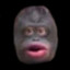 Monky