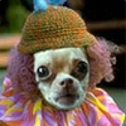 Kandibobelka's Avatar