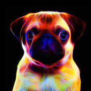 PugLife