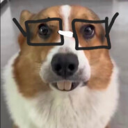 voroninyadviga