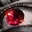 Group Avatar