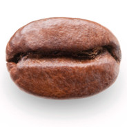 WhatIsLifeWithoutCaffiene