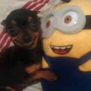 Joü