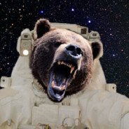 SpaceBear avatar