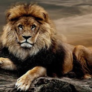 Russian/German man's Avatar