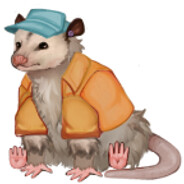 züdy