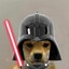 Perrito Darth Vader