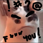 Really Angry Cat