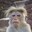 Group Avatar