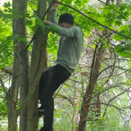 caimán de árbol
