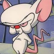 Brain - steam id 76561197960989876