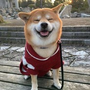 久碍