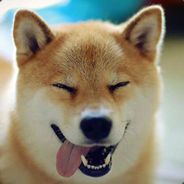 天道有轮回's Avatar