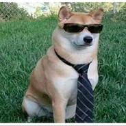 ★Ecobraaa!!!★ rustchance.com