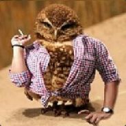 Daddy Bird