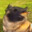 Group Avatar