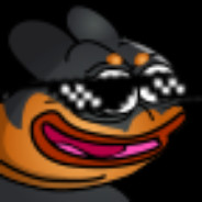 Fin