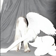 TALENT | butterfly