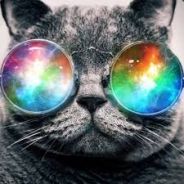 Hamid Bokon's Avatar