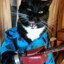 .chainsaw_cat.