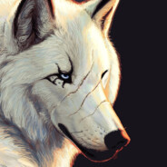 ❅ Kona ❅ 's avatar
