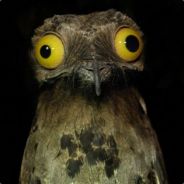 pikpik78 avatar