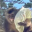 艾坤