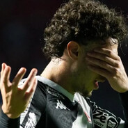 galo reio