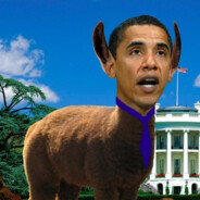 Obama Lama avatar