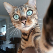 Felix Motanu