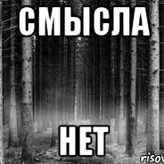 Потерял смысл жизни. Чувства есть. Цитаты ищи. Нет смысла ее искать. Нет смысла ее искать.
