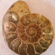L0V30L0GY - steam id 76561197961370477