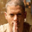 scofield