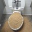 toilet cereal